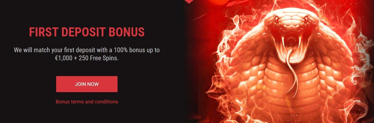 Cobra Casino Bonus